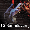 Gt Sounds Vol.2